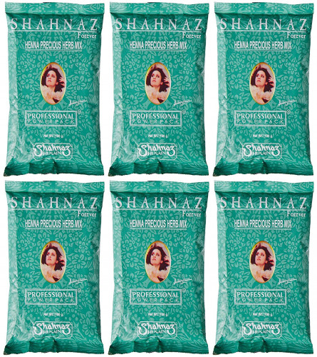 Shahnaz Husain Henna Precious Herb Mix, Black 100 gm (Pack of 6) Free Shipping World