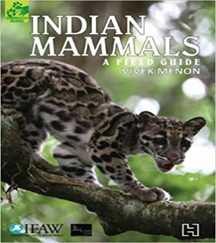 INDIAN MAMMALS Paperback - 9789350097601 (free shipping)