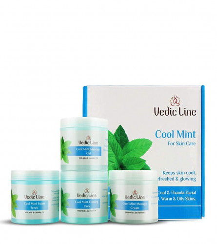 Vedicline Cool Mint Facial Kit, Helps to Reduce Tan & Dead Skin, 400 ml