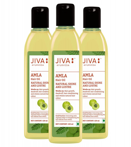 Jiva Amla Oil - 120 ml - Pack of 3 - For All Hair Types, Amla Hair Oil for Hair Growth