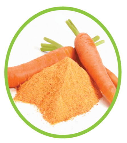 Fresh Carrot Powder (500 gm) free shipping world