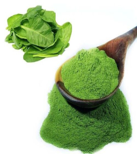 Fresh Green Spinach Powder, 500 g (free shipping world)