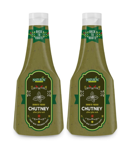 Naturin Dhaniya Pudina Chutney 370g Pack of 2 - free shipping
