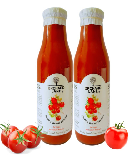 Orchard Lane Tomato Ketchup 600g Pack of 2 - free shipping