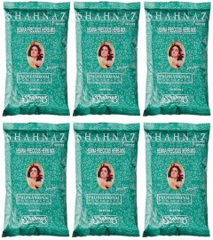 Shahnaz Husain Henna Precious Herb Mix, Brown 100 gm (Pack of 6) Free Shipping World
