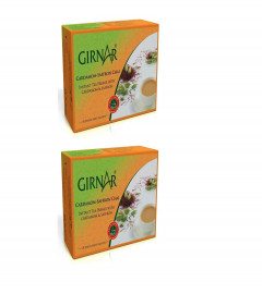 Girnar Instant Tea with Cardamom Saffron Kesar Elaichi 140 gm (Pack of 2) Free Shipping World