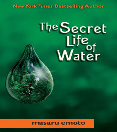 Secret Life of Water Paperback