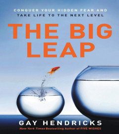 The Big Leap : (Paperback)