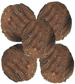 Desi Cow Dung Cake Big Handmade