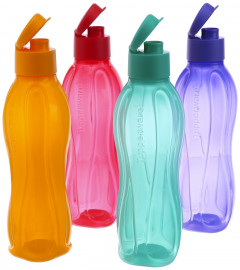 Tupperwares Bottle, 1000 Ml, Set Of 4, Multicolor