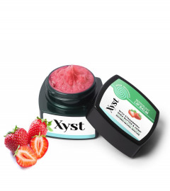 XYST Lip Balm for Women & Men With Vitamin E-7gm