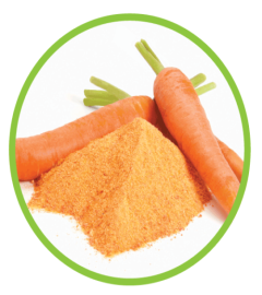 Fresh Carrot Powder (500 gm) free shipping world