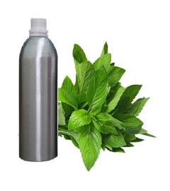Spearmint Essential Oil 100% Pure Natural Therapeutic Aromatherapy 250 ml (free shipping world)