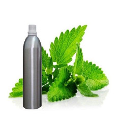 Peppermint Essential Oil 100% Pure Natural Therapeutic 100ml (free shipping world)