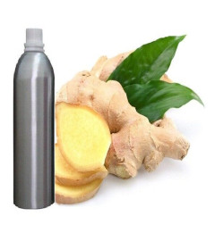Ginger Essential Oil  Pure Natural Therapeutic Aromatherapy