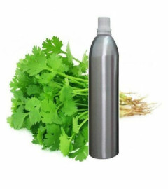 Coriander Essential Oil 100% Pure Natural Therapeutic Aromatherapy 250ml (free shipping world)