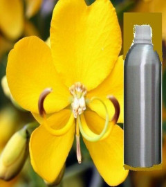 Cassia Pure Essential Oil Natural Organic Therapeutic Aromatherapy 250ml (free shipping)