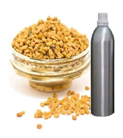 Fenugreek Essential Oil Pure Natural Methi Therapeutic Aromatherapy 250ml (free shipping world)