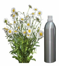 Essential Oil Chamomile Pure Natural Therapeutic