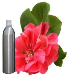 Geranium Essential Oil Pure 100% Natural Therapeutic Aromatherapy 250 ml (free shipping)