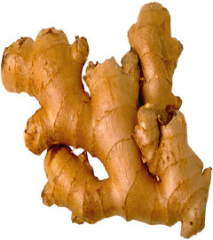 Ginger Root: Fresh, Whole, Raw, Organic, NON-GMO Fresh Harvest, Eat Or Grow- 1lb