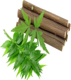 Neem Datun Chewing Sticks Oral Herbal Teeth 15 Tongue Cleaner