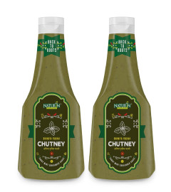Naturin Dhaniya Pudina Chutney 370g Pack of 2 - free shipping