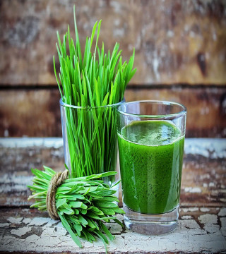 Diet & Nutrition›Vitamins, Minerals & Supplements›Herbal Supplements›Wheatgrass
